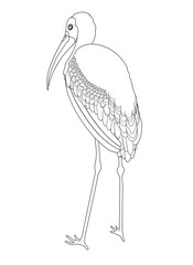 Painted stork coloring book. Hand drawn illustration.