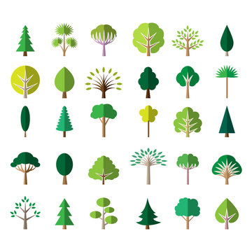 Flat tree icons. Pine and palm, oak and ash vector illustration