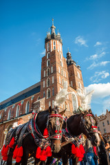 Fototapeta Saint Mary's Church and carriage with decorated horses in Krakow, Poland obraz