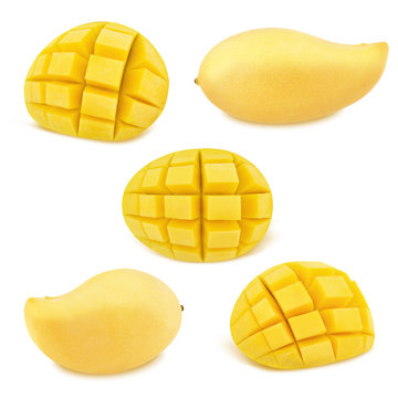 Set of yellow mangoes isolated on a white. As design elements.