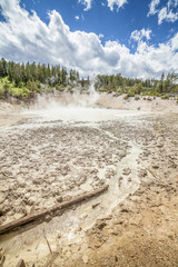 Mud Volcano Pool, Yellowstone National Park,  USA