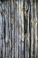 Wall of a log house wall