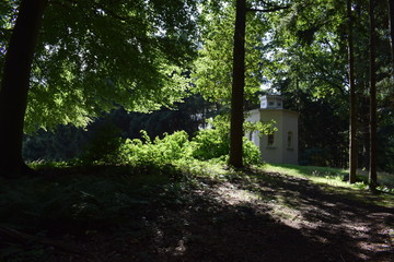Naklejka premium chapel in a field with trees