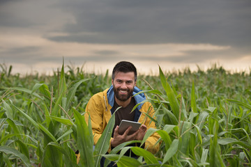 Naklejka na ściany i meble Farmer in corn field