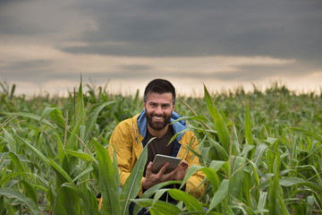 Farmer in corn field © Budimir Jevtic