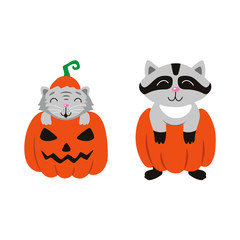 vector flat cartoon funny cute cat sitting at halloween scary pumpkin with gourd hat with stem on head, and racoon set. Isolated illustration on a white background. Fancy animal concept