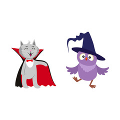 vector flat cartoon funny cat dressed up like vampire count Dracula, owl in witch pointed hat set. Isolated illustration on a white background. Fancy Halloween outfit for an animal concept