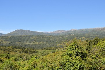 Fototapeta na wymiar Zonza, plateau de Coscione dans la montagne corse
