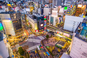 Obraz premium Shibuya, Tokio, Japonia