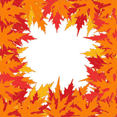 Colored leaves. Autumnal vector background. Frame. Border. Plant illustration.