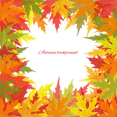 Colored leaves. Autumnal vector background. Frame. Border. Plant illustration.