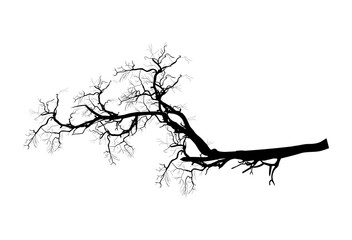 Spooky Dead Tree Branch Shape Vector