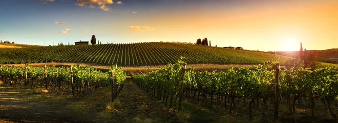 Papier Peint photo Vignoble Beau paysage de vignobles en Toscane au coucher du soleil. Région du Chianti en saison estivale. Italie.