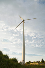 Wheat field, against the sky wind generator