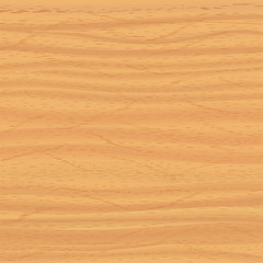 Realistic wood texture. Vector background for your design.