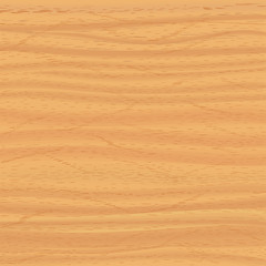 Realistic wood texture. Vector background for your design.