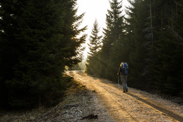 Woman hiker walking on a mountain road, sun shining