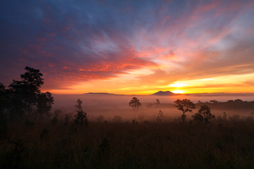 Fototapeta na wymiar Landscape morning sunrise at Thung Salang Luang National Park Phetchabun,Tung slang luang is Grassland savannah in Thailand