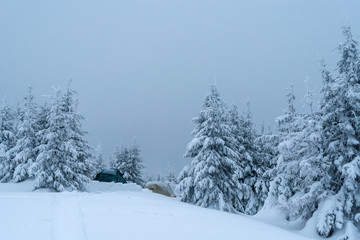 Naklejka premium Fantastic winter landscape