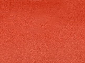 colored structural skin