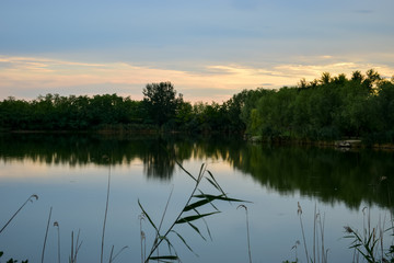 Fototapeta na wymiar beautiful forest by the lake
