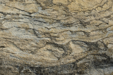 Migmatite. Texture.