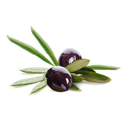 Black Olive and Green Leaves on White Background