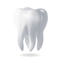 Realistic vector illustration human tooth. 