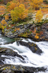 Der Wildfluss Driva im Herbst, Dovrefjell, Norwegen