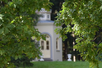 Chapel between the leaves in the forest