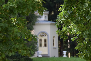 Chapel between the leaves in the forest