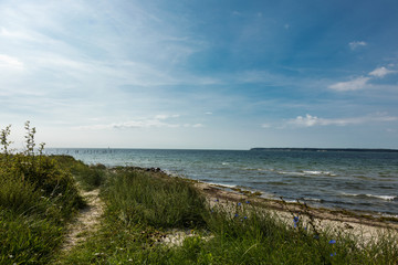 Sea in Denmark during summer