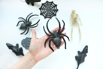 Preparating for halloween. Plastic toys of spiders and sceleton