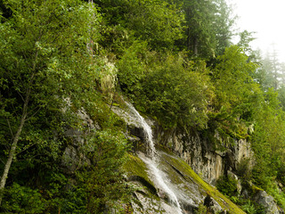 Fototapeta na wymiar Waterfall in the Rain Forest in Northern British Columbia, Canada.