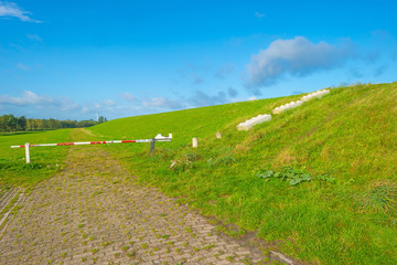 Green dike below a blue cloudy sky