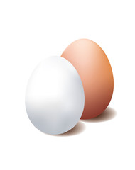 White and brown eggs isolated