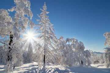 Winter in the mountains