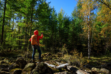 Naklejka na ściany i meble hiking woman use smartphone taking photo in the autumn forest