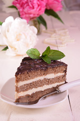 Slice of delicious cake