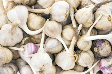 Garlic bulbs and garlic cloves is a top view