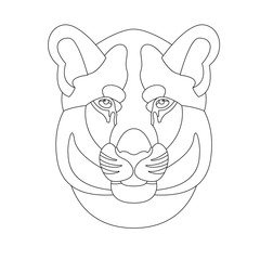 lion face vector illustration line drawing head