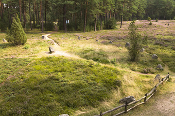 Kamienne kręgi