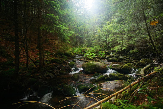 Seebach im bayerischen Wald, Seebach-River, Bavarian Forest