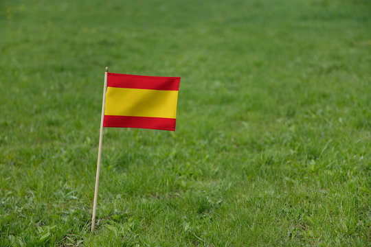 Spain flag. Spanish flag on a green grass field lawn background. National flag of Spain Espana waving outdoors