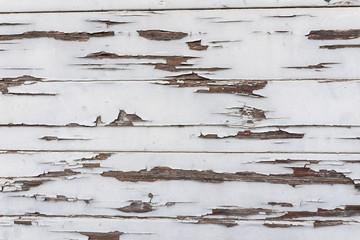 aged vintage peeling white paint wooden wall as background