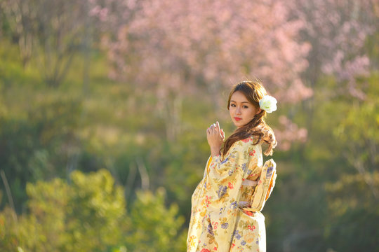 Woman in traditional Japanese clothing standing  in a cherry blossom orchard, Japan