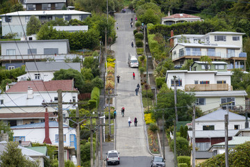 Baldwin Street, die steilste Strasse der Welt, in Dunedin,Neuseeland