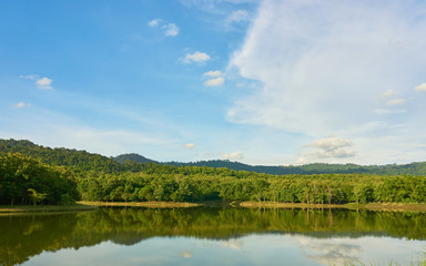 Fototapeta na wymiar Lake, forest and blue sky