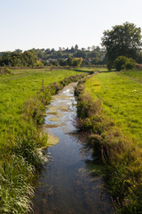 Fototapeta na wymiar Small river in a rural environment with preserved natural vegetation