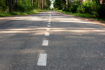 Road markings on asphalt in the forest